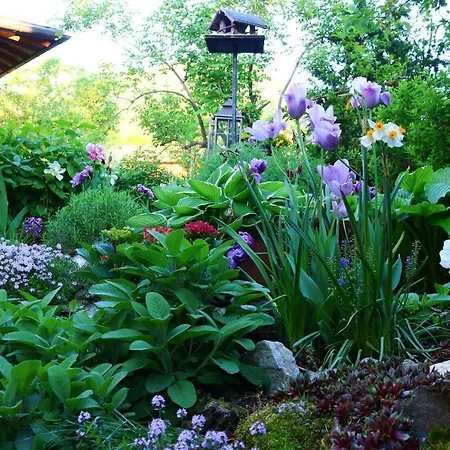 Hotel Kia Ora Restaurant 2*